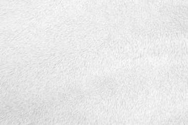 White clean wool texture background. light natural sheep wool. white seamless cotton. texture of fluffy fur for designers. close-up fragment white wool carpet.	