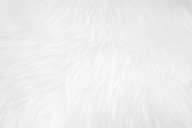 White clean wool texture background. light natural sheep wool. white seamless cotton. texture of fluffy fur for designers. close-up fragment white wool carpet.	