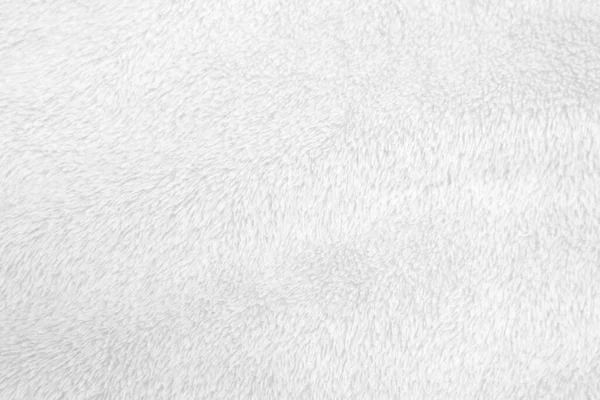 White Clean Wool Texture Background Light Natural Sheep Wool White — 스톡 사진