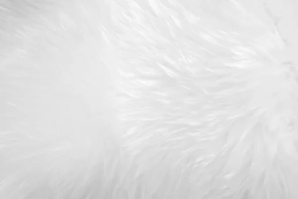 White Clean Wool Texture Background Light Natural Sheep Wool White — 图库照片