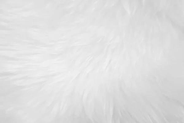 White Clean Wool Texture Background Light Natural Sheep Wool White — Foto de Stock