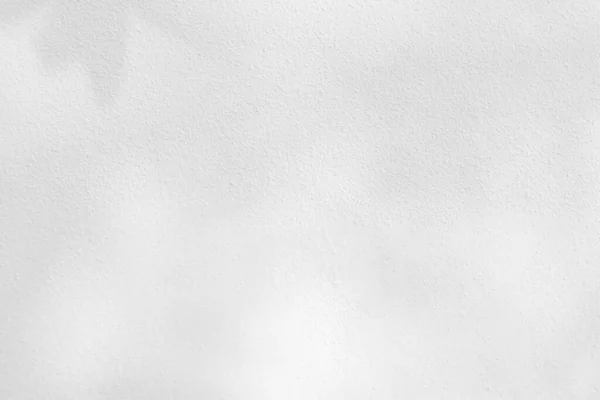 Seamless Texture White Cement Wall Rough Surface Leaf Shadow Space — Stockfoto