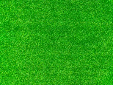 Green grass texture background grass garden concept used for making green background football pitch, Grass Golf, green lawn pattern textured background.	