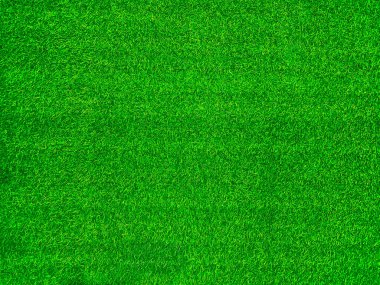 Green grass texture background grass garden concept used for making green background football pitch, Grass Golf, green lawn pattern textured background.	