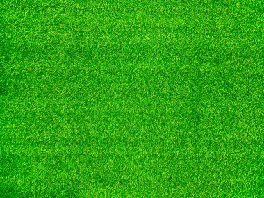 Green grass texture background grass garden concept used for making green background football pitch, Grass Golf, green lawn pattern textured background.	