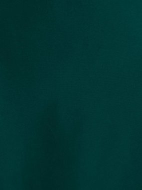 Dark green old velvet fabric texture used as background. Empty green fabric background of soft and smooth textile material. There is space for text.	