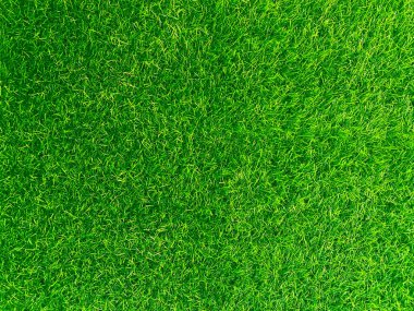 Green grass texture background grass garden concept used for making green background football pitch, Grass Golf, green lawn pattern textured background.	
