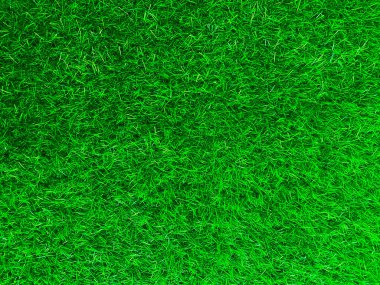 Green grass texture background grass garden concept used for making green background football pitch, Grass Golf, green lawn pattern textured background.	