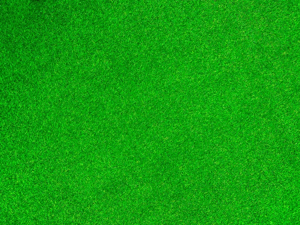 Green Grass Texture Background Grass Garden Concept Used Making Green — Photo