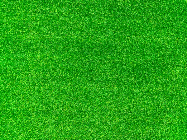 Green Grass Texture Background Grass Garden Concept Used Making Green — Stockfoto