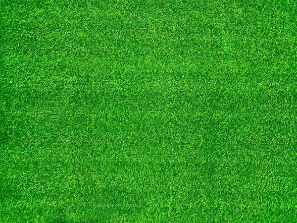 Green Grass Texture Background Grass Garden Concept Used Making Green — Stockfoto