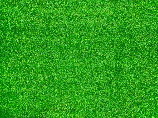 Green Grass Texture Background Grass Garden Concept Used Making Green — Stockfoto