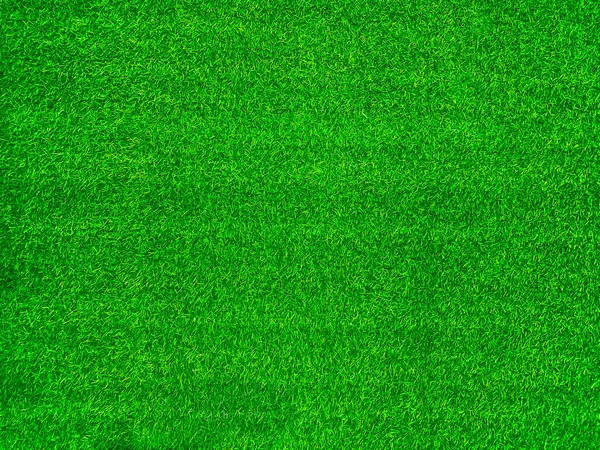 Green Grass Texture Background Grass Garden Concept Used Making Green — Stock fotografie