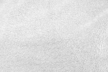 White clean wool texture background. light natural sheep wool. white seamless cotton. texture of fluffy fur for designers. close-up fragment white wool carpet.	
