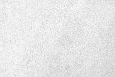 White clean wool texture background. light natural sheep wool. white seamless cotton. texture of fluffy fur for designers. close-up fragment white wool carpet.	