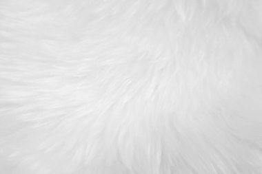 White clean wool texture background. light natural sheep wool. white seamless cotton. texture of fluffy fur for designers. close-up fragment white wool carpet.	