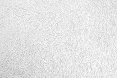 White clean wool texture background. light natural sheep wool. white seamless cotton. texture of fluffy fur for designers. close-up fragment white wool carpet.	