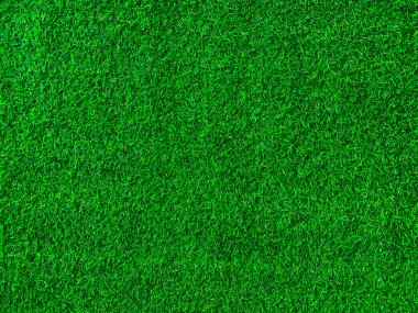 Green grass texture background grass garden concept used for making green background football pitch, Grass Golf, green lawn pattern textured background.	