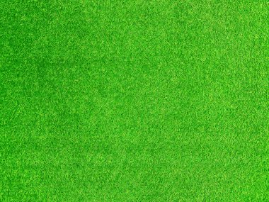 Green grass texture background grass garden concept used for making green background football pitch, Grass Golf, green lawn pattern textured background.	