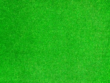 Green grass texture background grass garden concept used for making green background football pitch, Grass Golf, green lawn pattern textured background.	