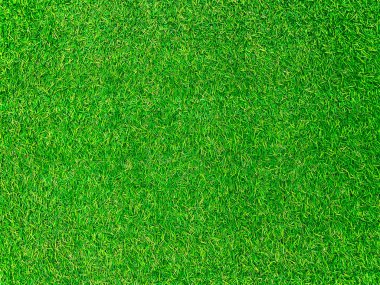 Green grass texture background grass garden concept used for making green background football pitch, Grass Golf, green lawn pattern textured background.	