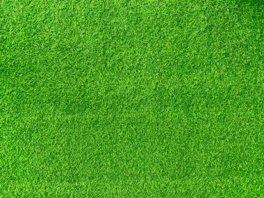 Green grass texture background grass garden concept used for making green background football pitch, Grass Golf, green lawn pattern textured background.	