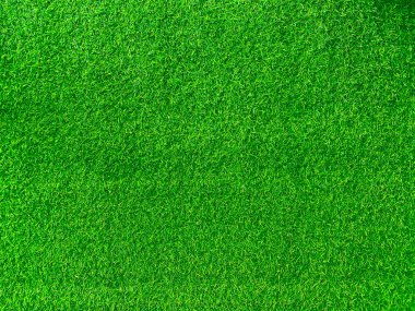 Green grass texture background grass garden concept used for making green background football pitch, Grass Golf, green lawn pattern textured background.	
