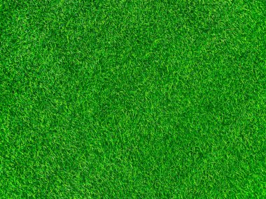 Green grass texture background grass garden concept used for making green background football pitch, Grass Golf, green lawn pattern textured background.	