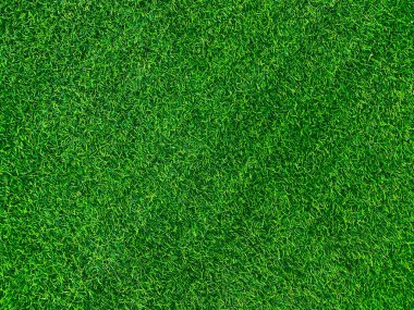 Green grass texture background grass garden concept used for making green background football pitch, Grass Golf, green lawn pattern textured background.	