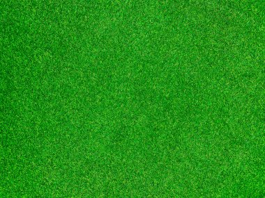 Green grass texture background grass garden concept used for making green background football pitch, Grass Golf, green lawn pattern textured background.	