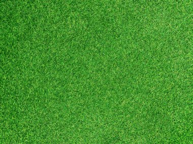 Green grass texture background grass garden concept used for making green background football pitch, Grass Golf, green lawn pattern textured background.	