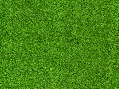 Green grass texture background grass garden concept used for making green background football pitch, Grass Golf, green lawn pattern textured background.	