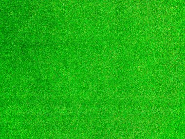 Green grass texture background grass garden concept used for making green background football pitch, Grass Golf, green lawn pattern textured background.	