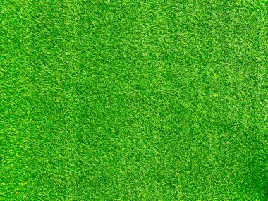 Green grass texture background grass garden concept used for making green background football pitch, Grass Golf, green lawn pattern textured background.	