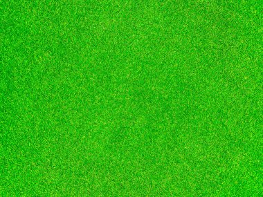 Green grass texture background grass garden concept used for making green background football pitch, Grass Golf, green lawn pattern textured background.	