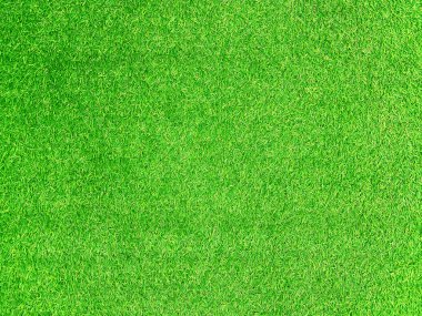 Green grass texture background grass garden concept used for making green background football pitch, Grass Golf, green lawn pattern textured background.	