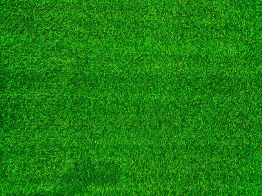 Green grass texture background grass garden concept used for making green background football pitch, Grass Golf, green lawn pattern textured background.	