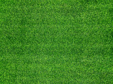 Green grass texture background grass garden concept used for making green background football pitch, Grass Golf, green lawn pattern textured background.	