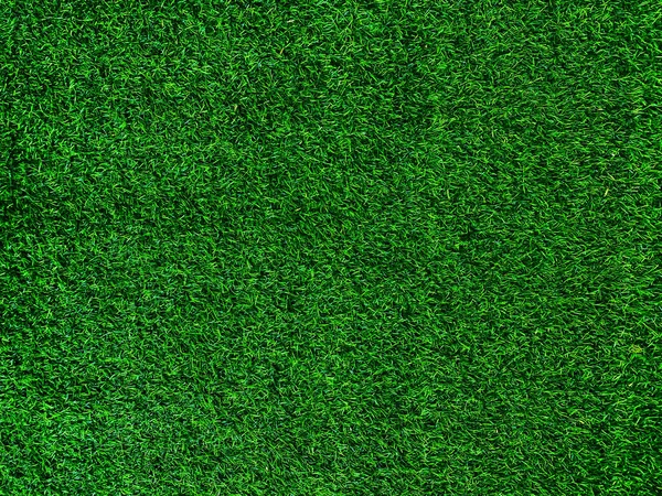 Green Grass Texture Background Grass Garden Concept Used Making Green — Stockfoto