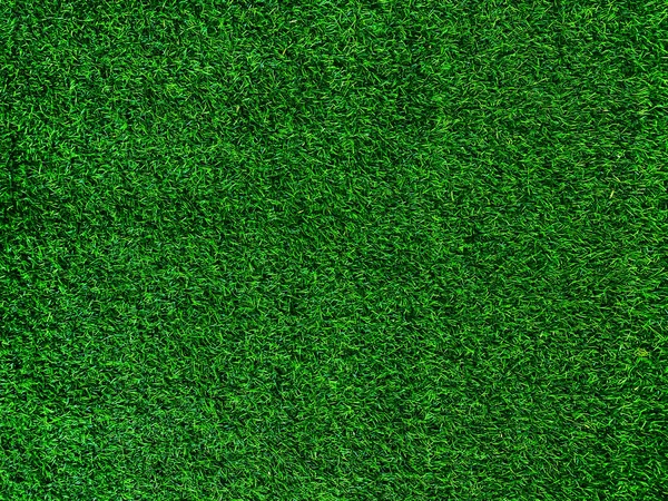 Green Grass Texture Background Grass Garden Concept Used Making Green — Photo