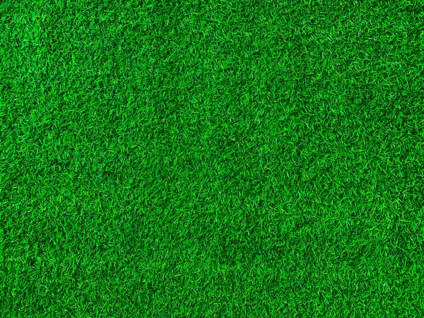 Green Grass Texture Background Grass Garden Concept Used Making Green — Fotografia de Stock