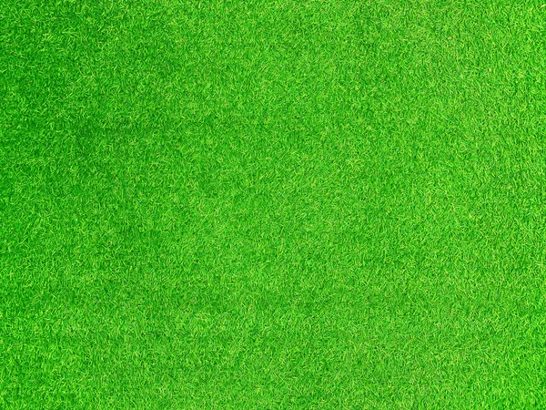 Green Grass Texture Background Grass Garden Concept Used Making Green — Zdjęcie stockowe