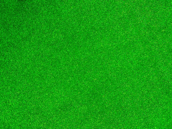 Green Grass Texture Background Grass Garden Concept Used Making Green — Fotografia de Stock