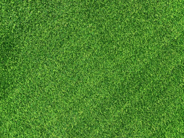 Green Grass Texture Background Grass Garden Concept Used Making Green — Photo