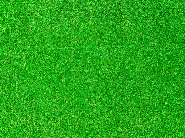 Green Grass Texture Background Grass Garden Concept Used Making Green — Stockfoto