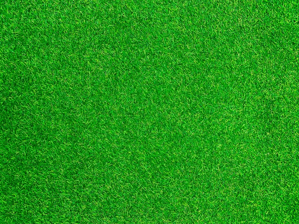 Green Grass Texture Background Grass Garden Concept Used Making Green — Stockfoto