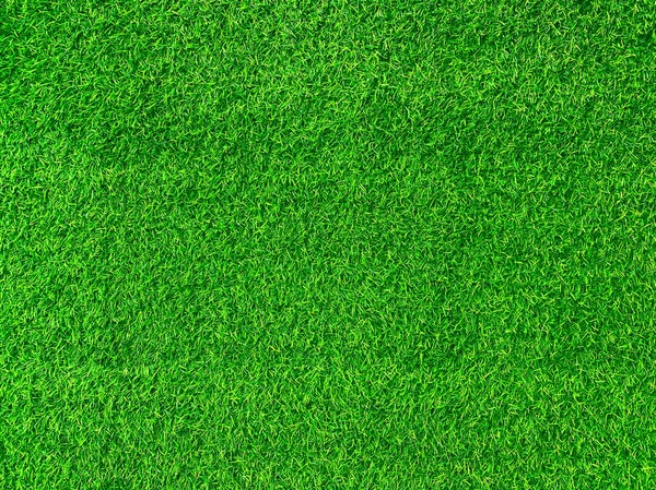 Green Grass Texture Background Grass Garden Concept Used Making Green — Photo