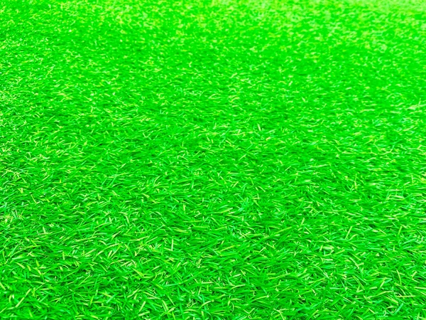 Green Grass Texture Background Grass Garden Concept Used Making Green — Foto Stock