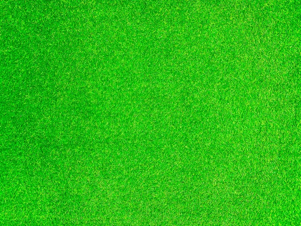 Green Grass Texture Background Grass Garden Concept Used Making Green — Zdjęcie stockowe