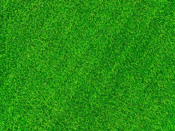 Green Grass Texture Background Grass Garden Concept Used Making Green — Photo